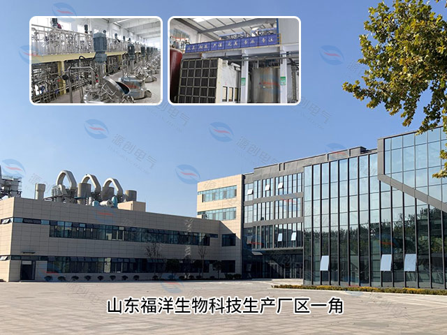 山東福洋生物科技生產廠區(qū)一角